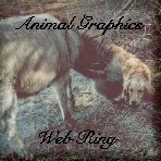Animal Graphics Ring